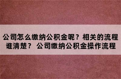 公司怎么缴纳公积金呢？相关的流程谁清楚？ 公司缴纳公积金操作流程